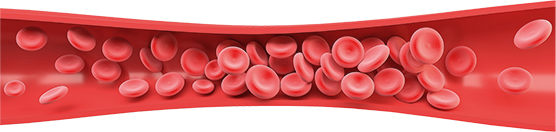 줄기세포 정맥주사 이미지